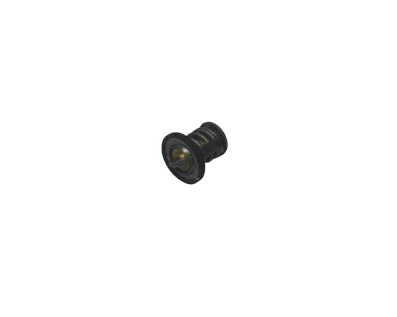 BAJAJ PULSAR NS200 UG UG2 TERMOSTAT