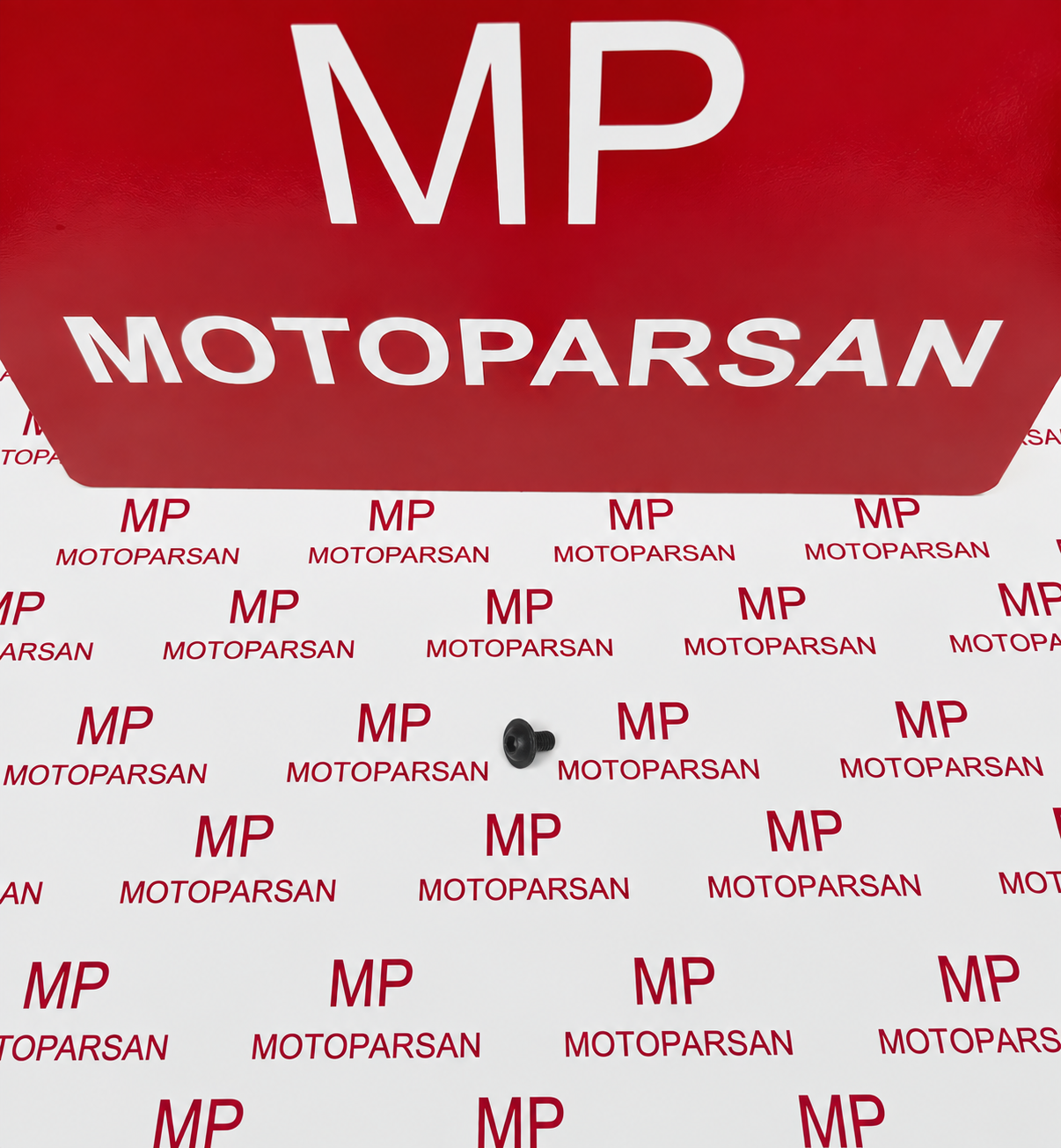 Bajaj Pulsar N160 UG Civata Vida Orjinal M6X1LX10