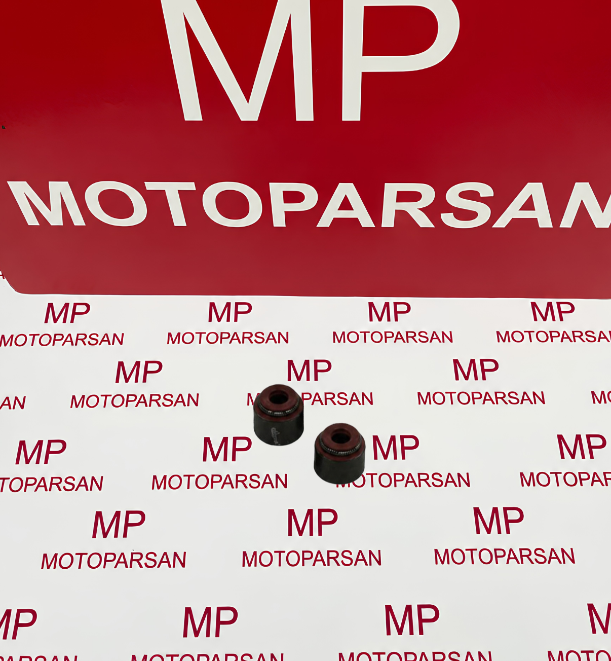 Bajaj Pulsar NS125 ABS Subap Lastiği Yağ Keçesi Set