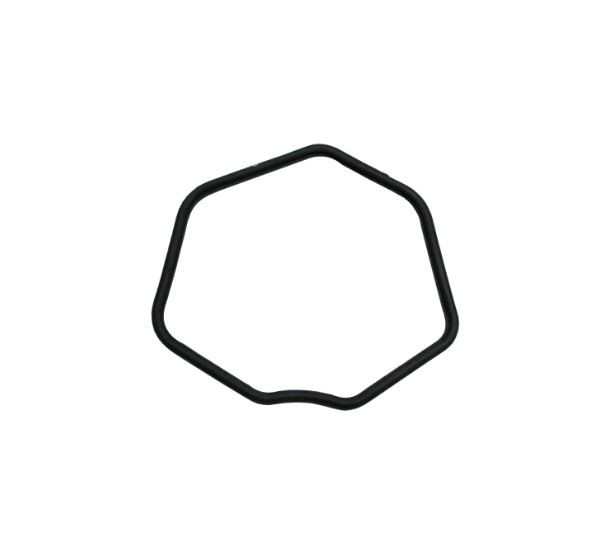 Bajaj Pulsar NS125 CBS Külbütör Kapak Contası Euro 5+