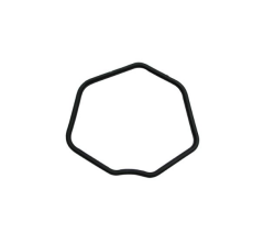 Bajaj Pulsar NS125 CBS Külbütör Kapak Contası Euro 5+