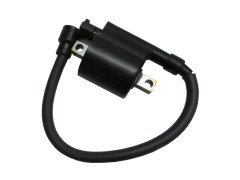 Bajaj Pulsar NS125 ABS Sağ Ateşleme Bobini Euro 5 - 5+