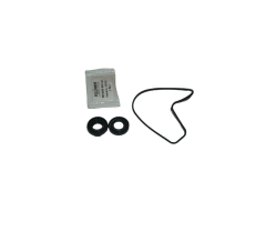 Bajaj Dominar D400 Devirdaim Su Pompa Rotor Keçesi Set Orjinal