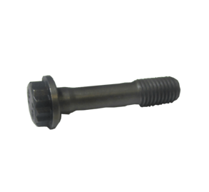 Bajaj Pulsar NS200 UG2 Krank Grank Kolu Civatası