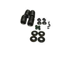 Bajaj Dominar D250 Subap Supap İtecekleri