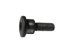 Bajaj Dominar D250 Eksantrik Gergi Kılavuz Civatası