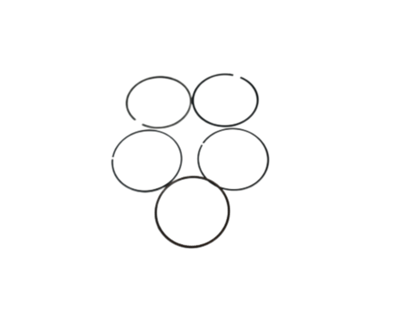 Bajaj Dominar D250 Orjinal Segman Takımı