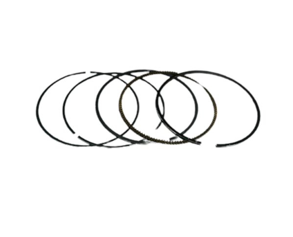 Bajaj Pulsar N250 Orjinal Segman Takımı