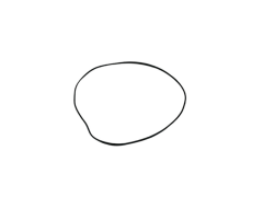 Kanuni SEHA150 Sağ Şanzuman Kapak Oring Conta